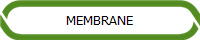 MEMBRANE